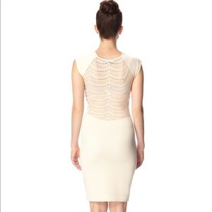BNWT French Connection Lace Back Dress